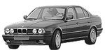 BMW E34 P1383 Fault Code